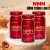 Viên uống NMN Đông trùng linh chi - Viên uống NMN Thingo